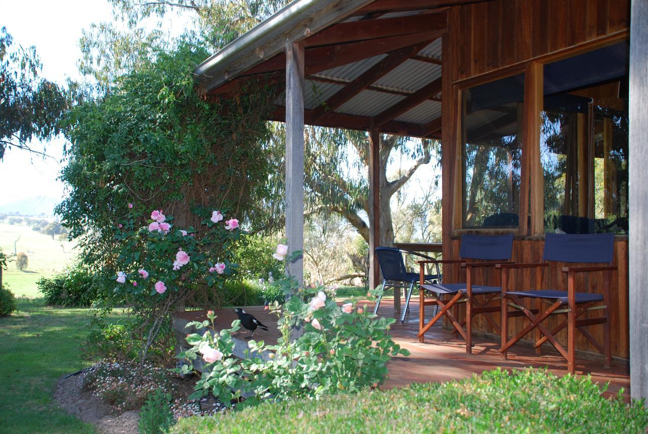 Bluegum Ridge Cottages Merrijig Exterior foto