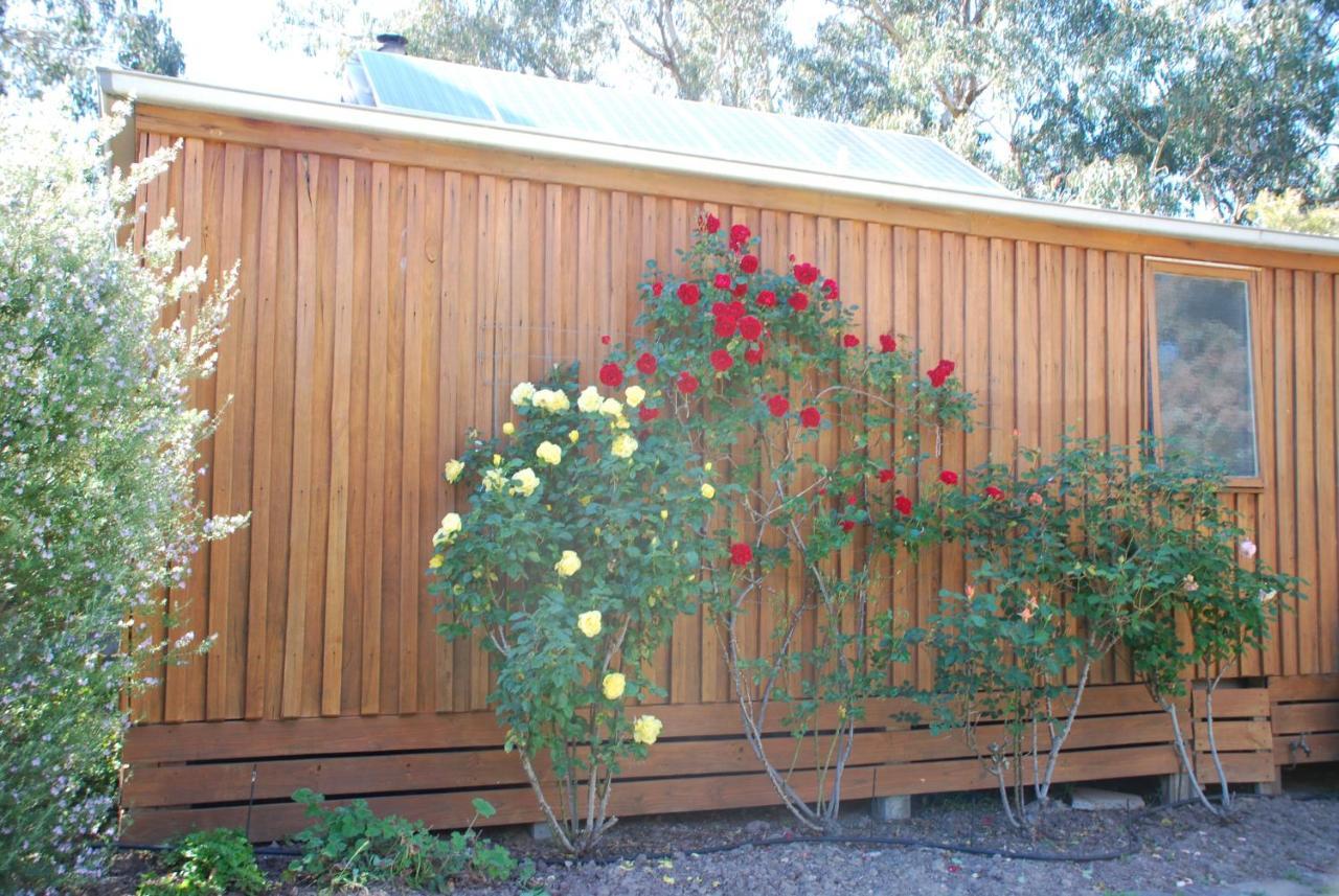Bluegum Ridge Cottages Merrijig Habitación foto